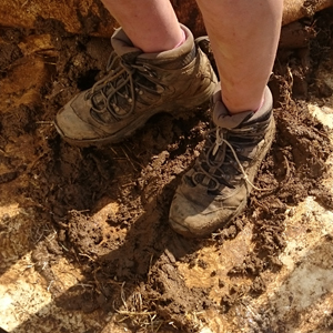 tramping mud
